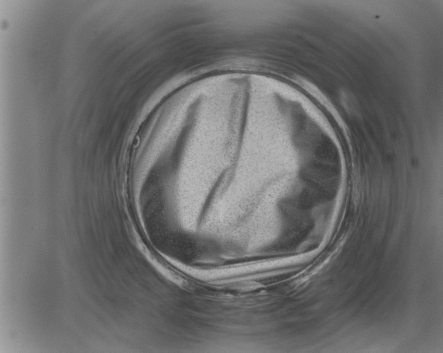 X0000081451437200702021731