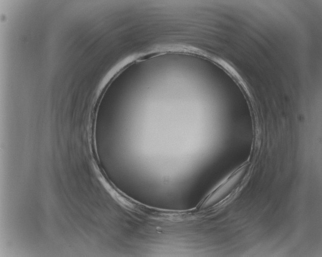 X0000081451438200702021731