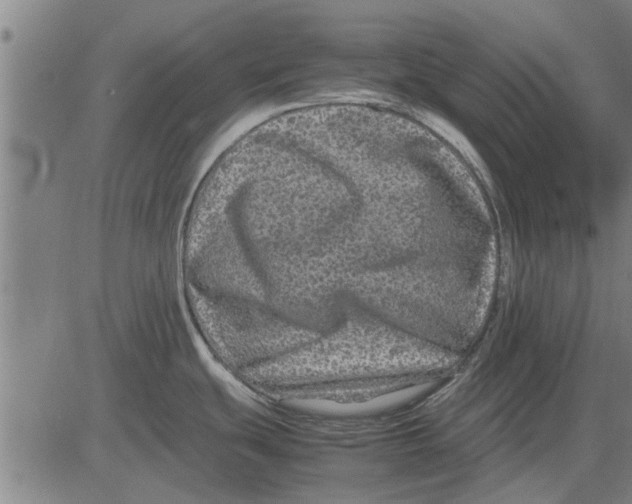 X0000081451439200702021731