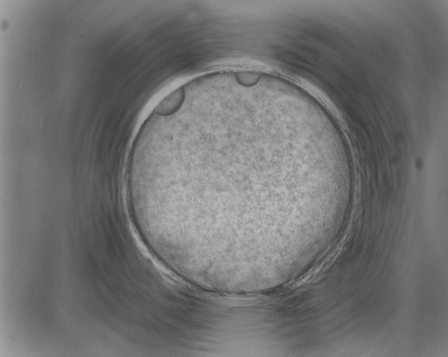 X0000081451440200702021731