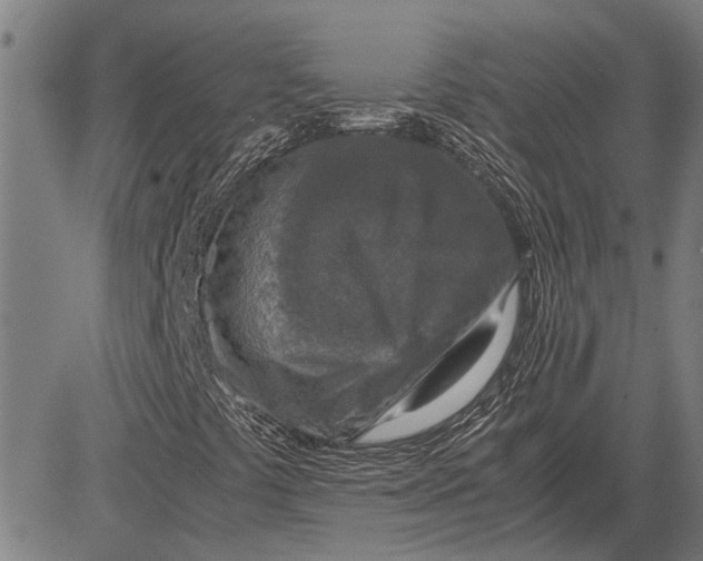 X0000081451441200702021730