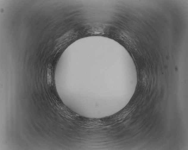 X0000081451442200702021730