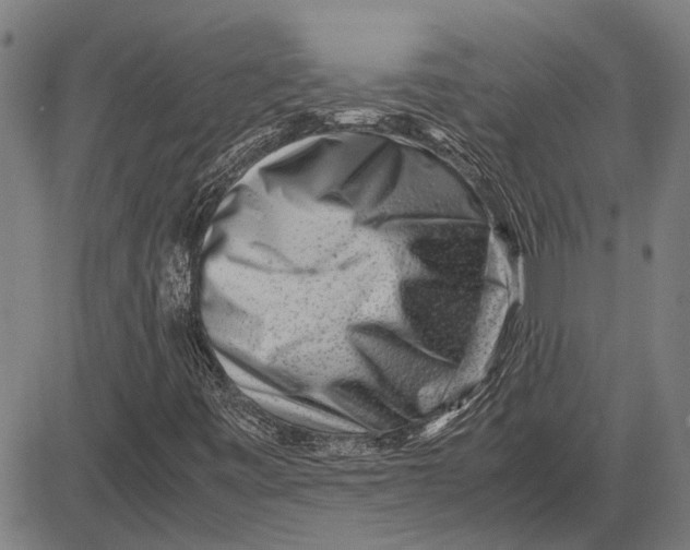 X0000081451443200702021730