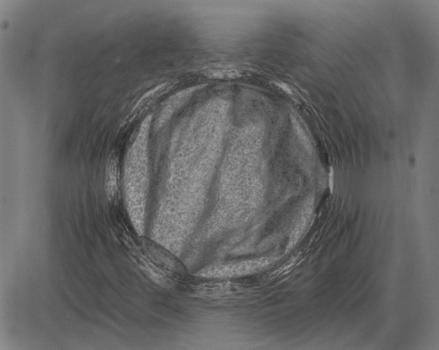 X0000081451444200702021730