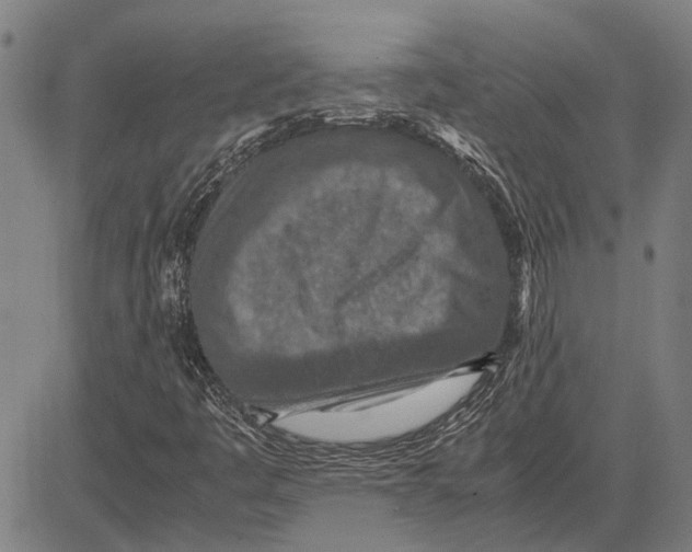 X0000081451445200702021730