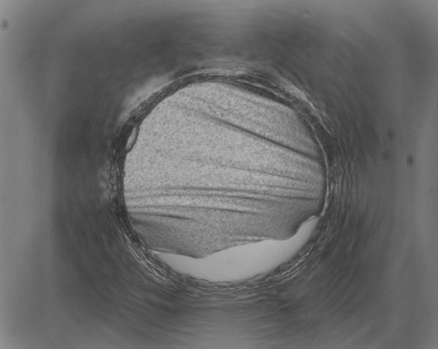 X0000081451448200702021730