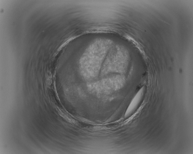 X0000081451449200702021730