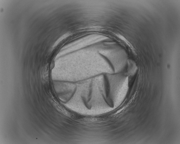 X0000081451450200702021730