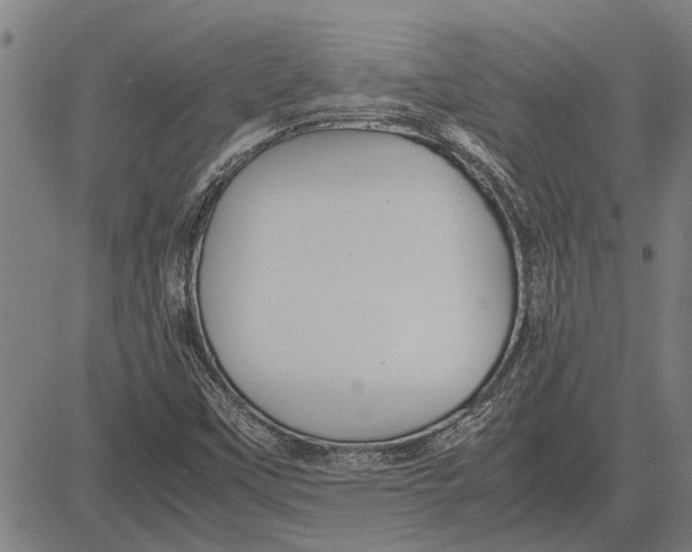 X0000081451451200702021730