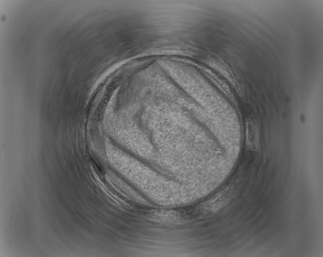 X0000081451452200702021730