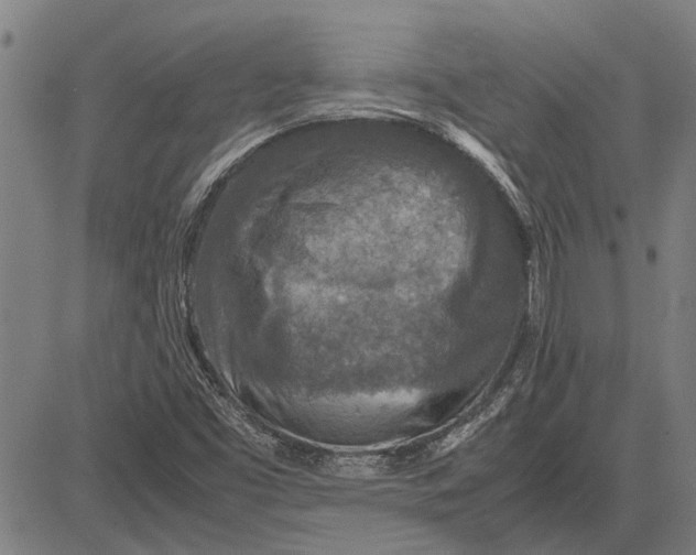 X0000081451453200702021730