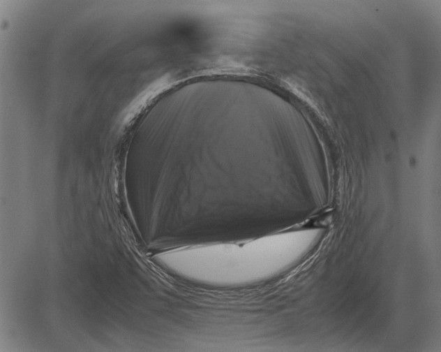 X0000081451455200702021730