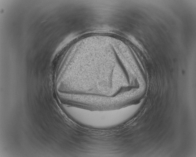 X0000081451456200702021730