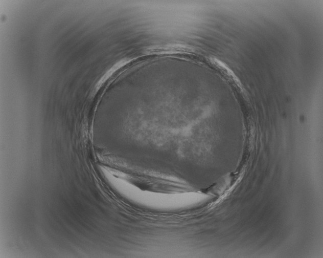 X0000081451457200702021730