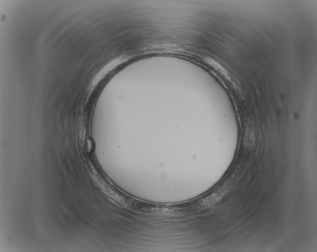 X0000081451458200702021730