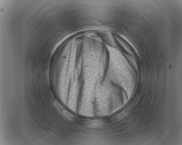 X0000081451460200702021730