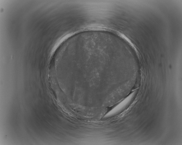 X0000081451461200702021730