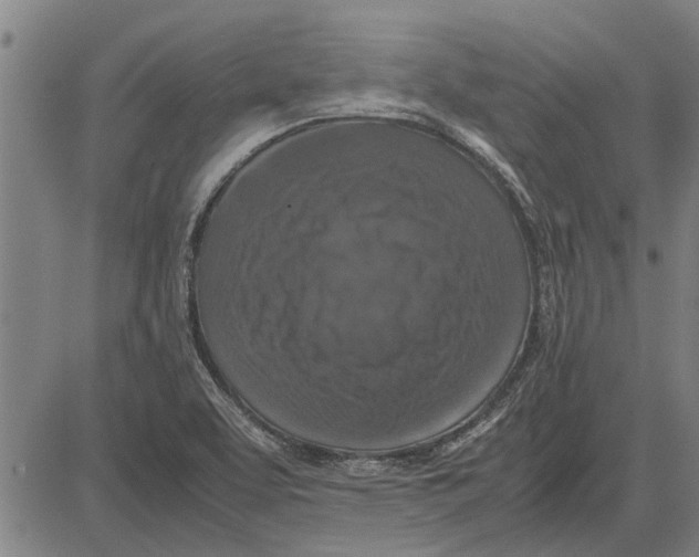 X0000081451463200702021730