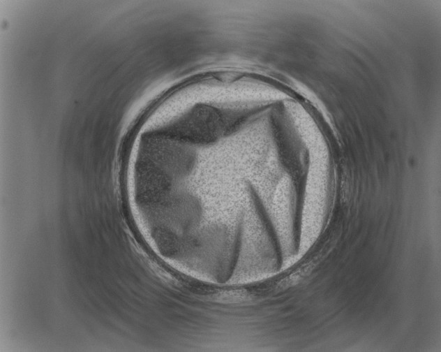 X0000081451464200702021730