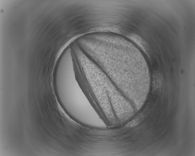 X0000081451468200702021730