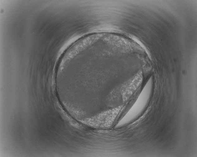 X0000081451469200702021730