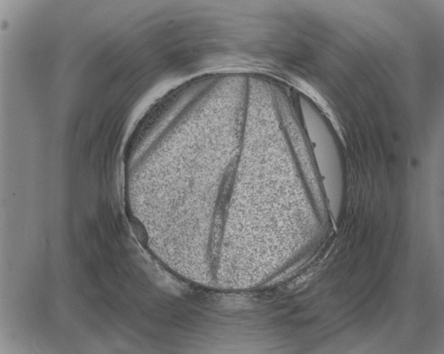 X0000081451472200702021730