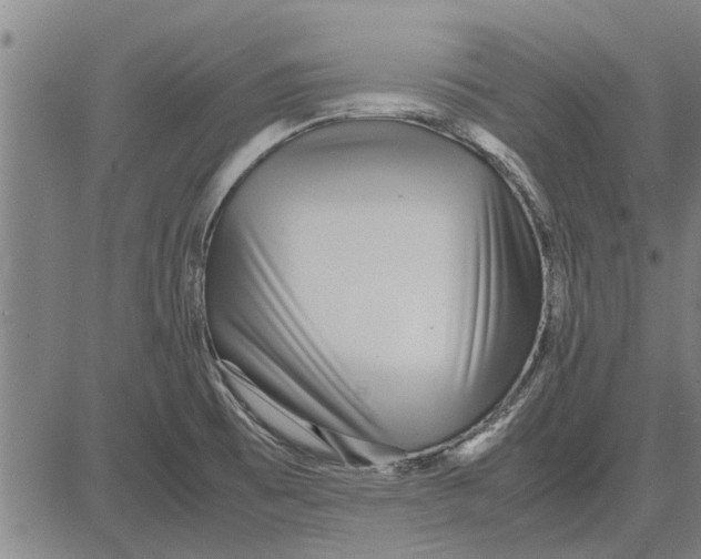 X0000081451473200702021730