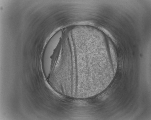 X0000081451476200702021730