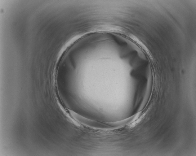 X0000081451477200702021730