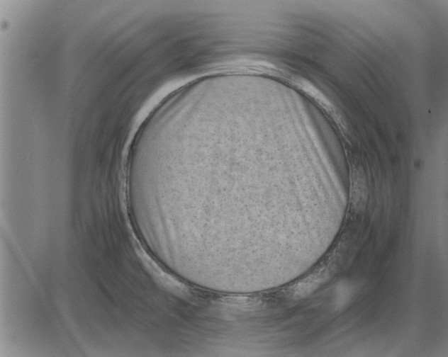 X0000081451478200702021730