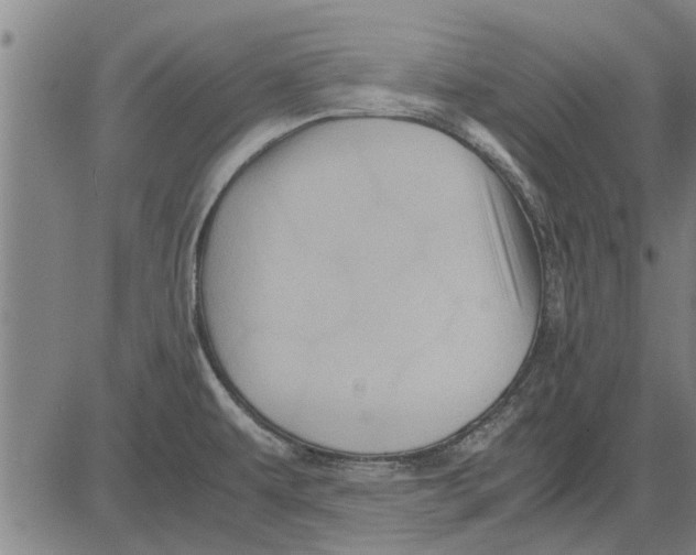 X0000081451479200702021730