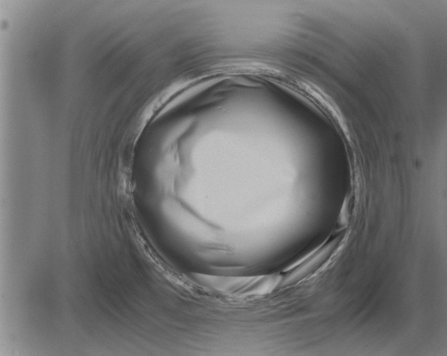 X0000081451481200702021730