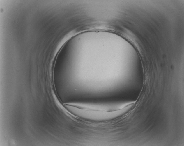 X0000081451483200702021730