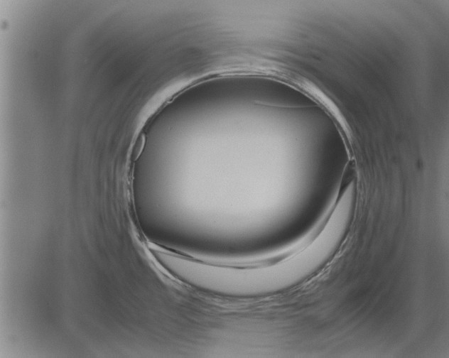 X0000081451485200702021730