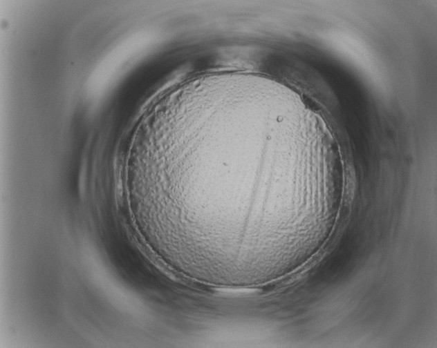 X0000081451487200702021730