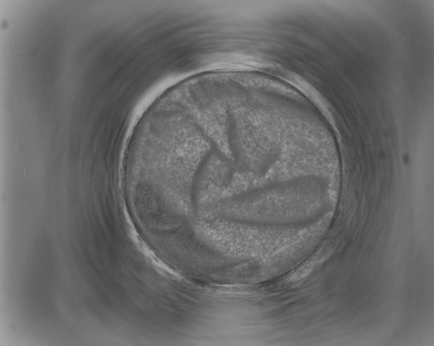 X0000081451488200702021730