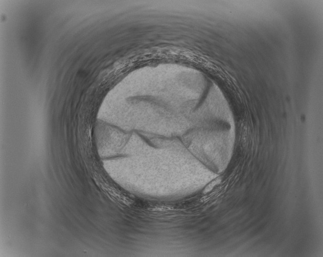 X0000081451489200702021729