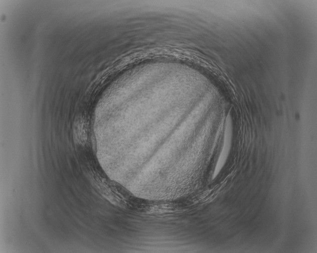 X0000081451490200702021729