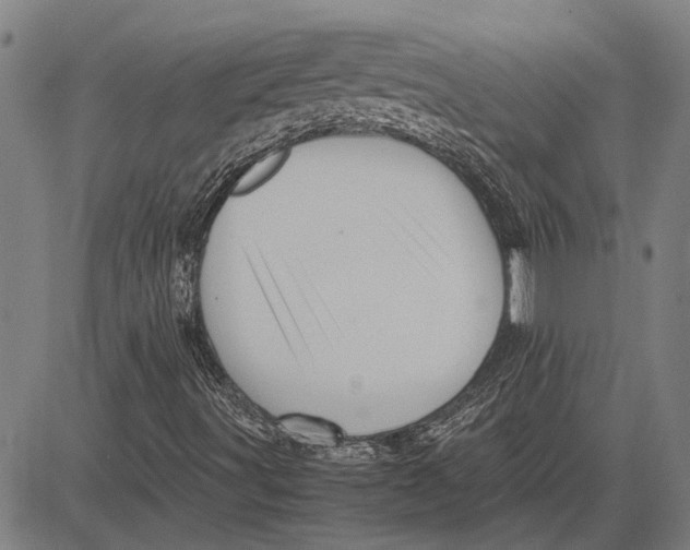 X0000081451491200702021729