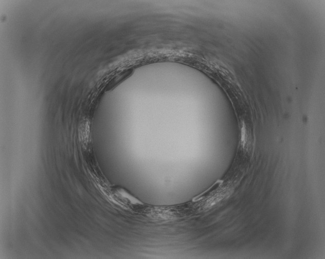 X0000081451492200702021729