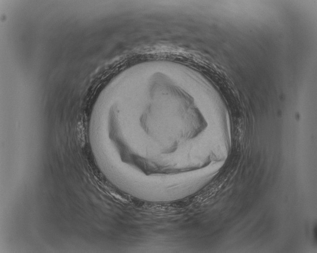 X0000081451493200702021729