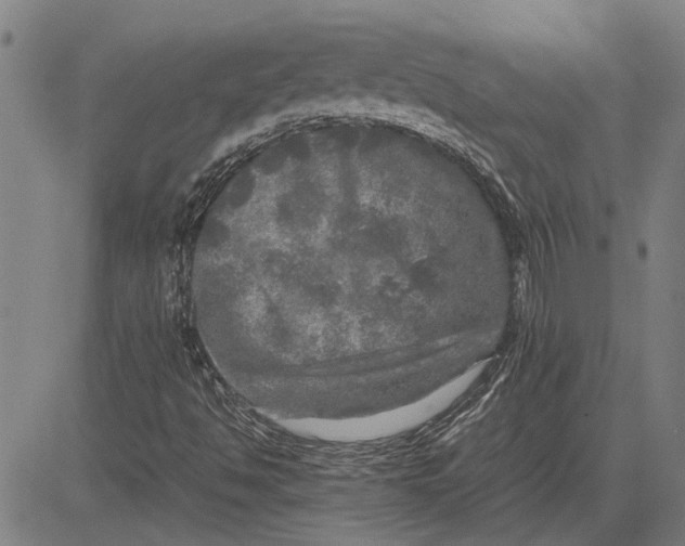 X0000081451494200702021729