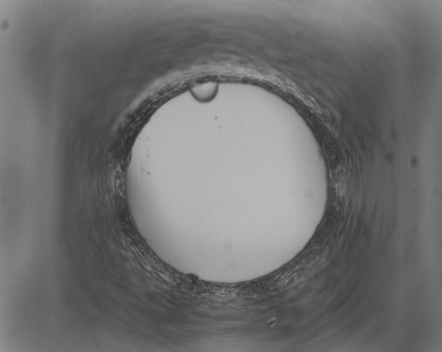 X0000081451495200702021729