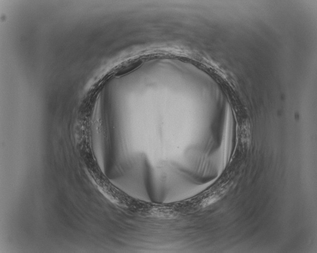 X0000081451496200702021729