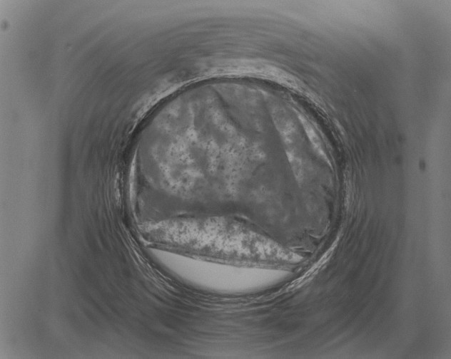 X0000081451497200702021729