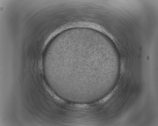 X0000081451498200702021729