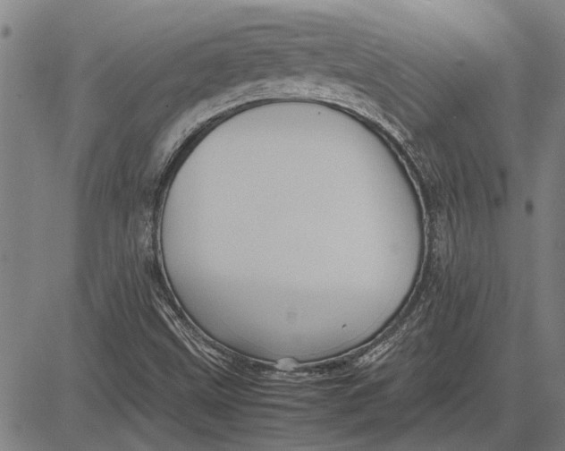 X0000081451499200702021729