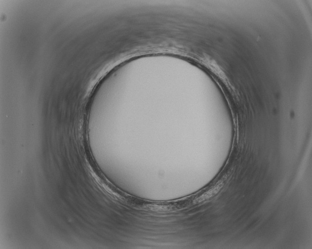 X0000081451500200702021729