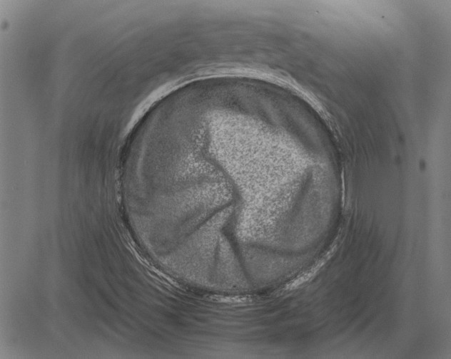 X0000081451501200702021729