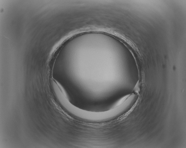 X0000081451502200702021729